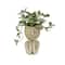 9" Inchplant in Statue pot by Ashland®